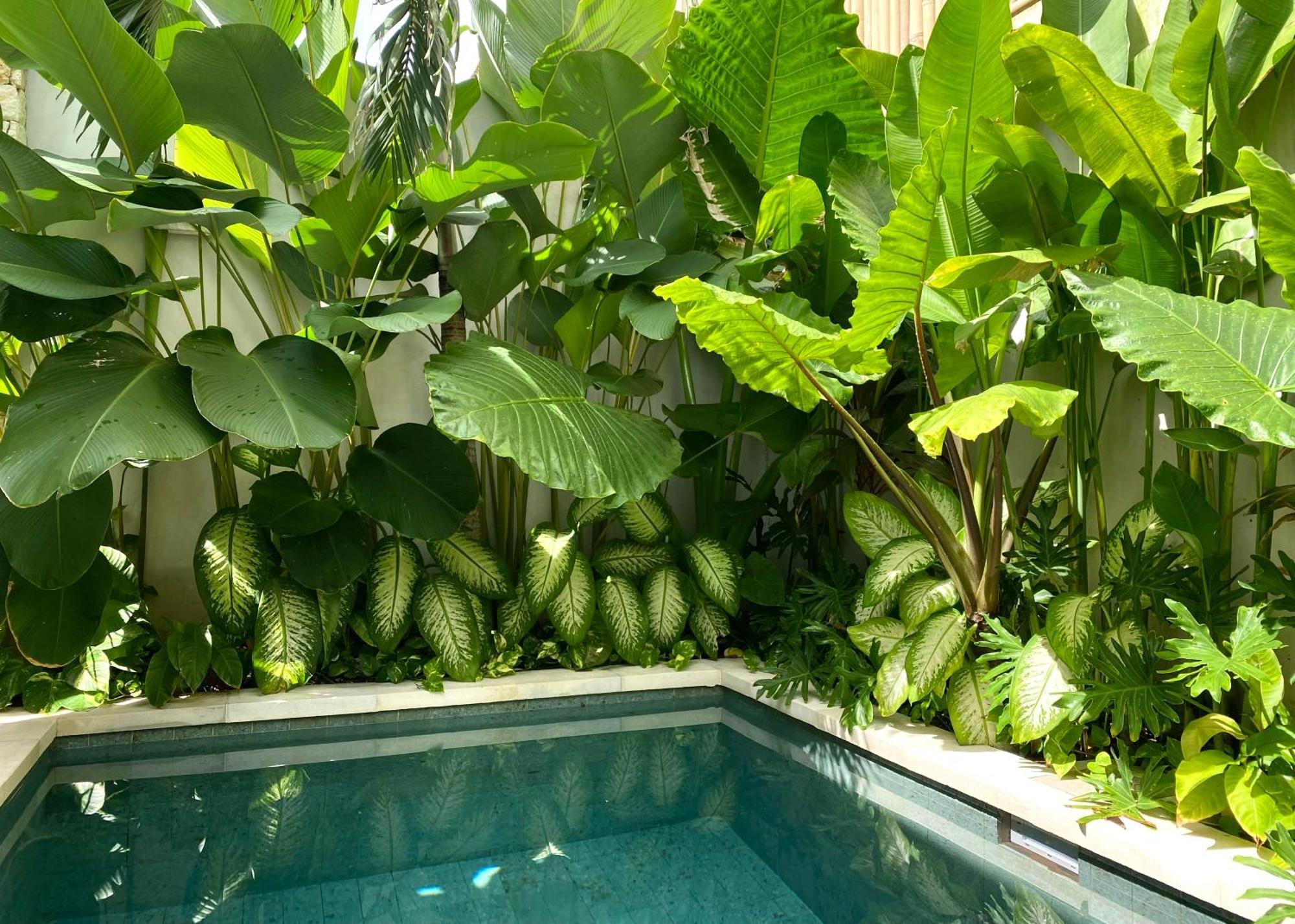 Alma Bingin Boutique Hotel Uluwatu  Ngoại thất bức ảnh